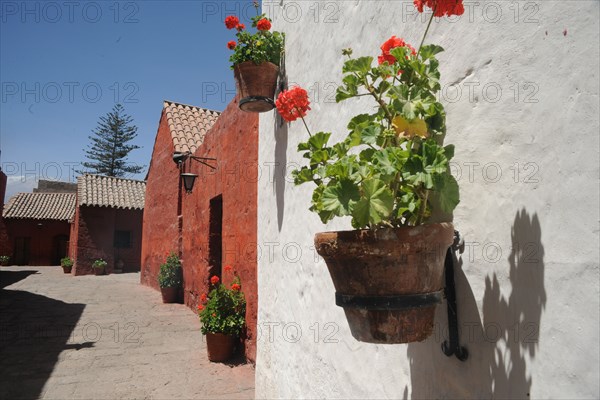 Santa Catalina Monastery, 2015.