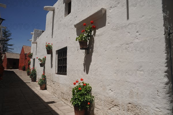 Santa Catalina Monastery, 2015.