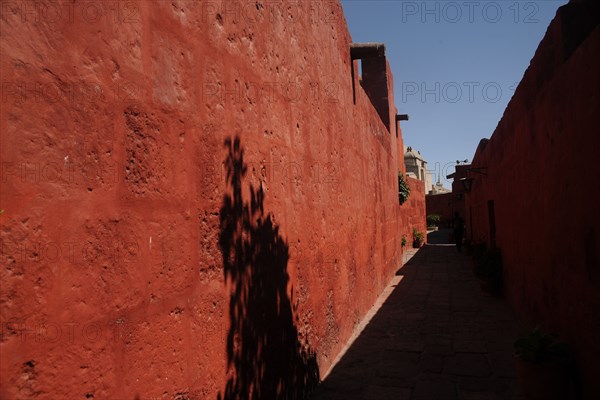 Santa Catalina Monastery, 2015.