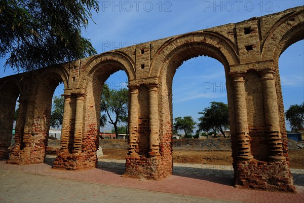 Zaña, Lambayeque, Peru, 2015.