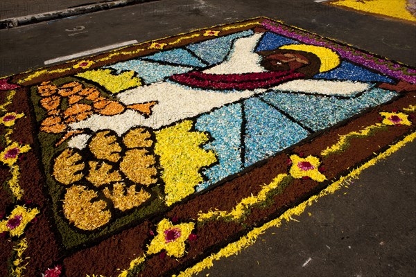 Holy Week Surco Flower Carpet, Lima, Peru, 2015.