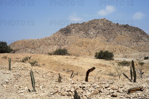 Valle de las Piramides, Tucume, Lambayeque, Peru, 2015.