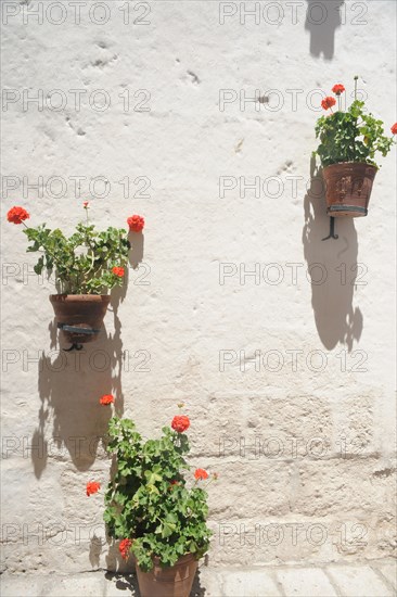 Santa Catalina Monastery, 2015.