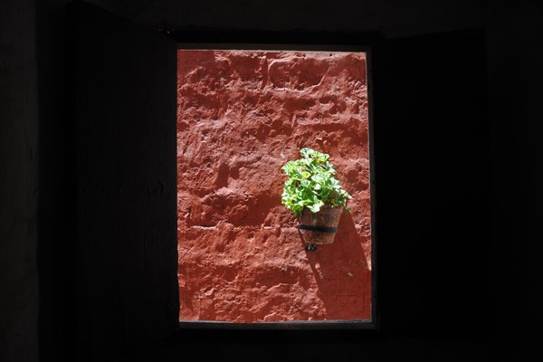 Santa Catalina Monastery, 2015.