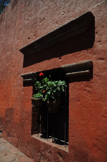 Santa Catalina Monastery, 2015.