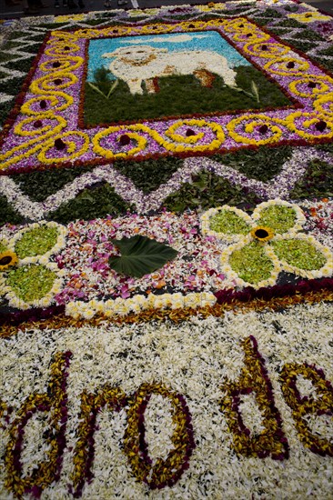 Holy Week Surco Flower Carpet, Lima, Peru, 2015.