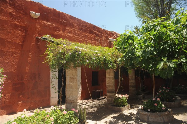 Santa Catalina Monastery, 2015.