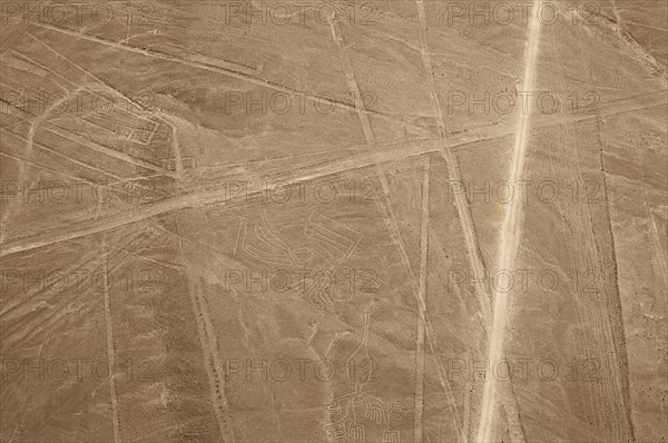 The Condor, Nazca Lines, Ica, Peru, 2015.