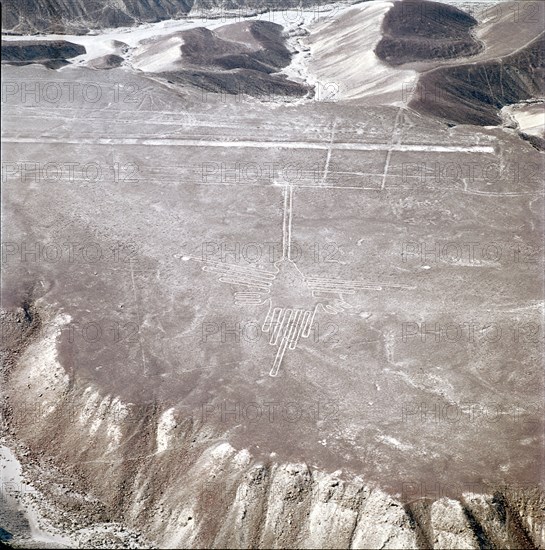 The Hummingbird, Nazca Lines, Ica, Peru, 2015.