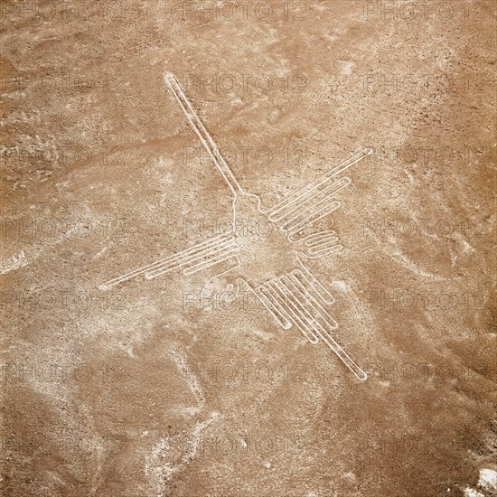 The Hummingbird, Nazca Lines, Ica, Peru, 2015.