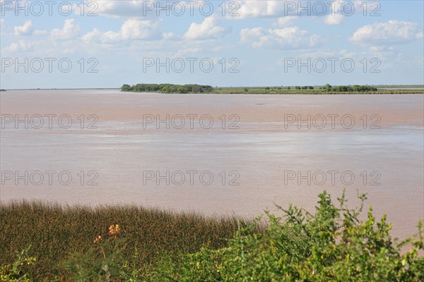 Parana River, Buenos Aires, Argentina, 2015.