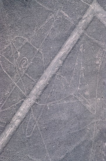 The Whale, Nazca Lines, Ica, Peru, 2015.