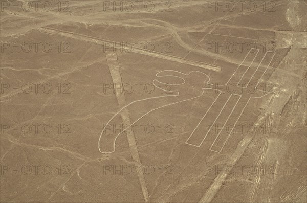 The Parrot, Nazca Lines, Ica, Peru, 2015.