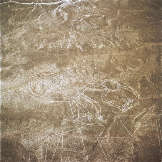 The Monkey, Nazca Lines, Ica, Peru, 2015.