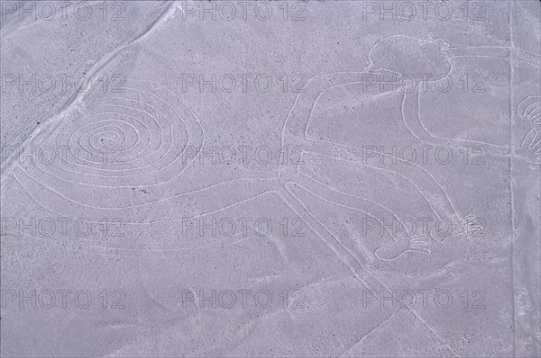 The Monkey, Nazca Lines, Ica, Peru, 2015.