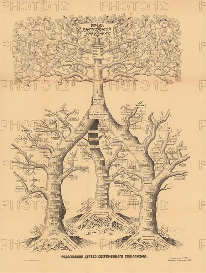 The family tree of modern socialism, 1906.