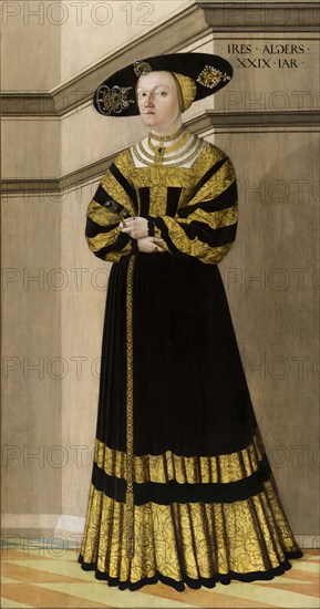 Portrait of Anna von Rosental, 1529.