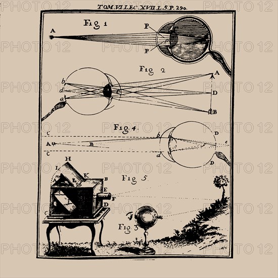 Comparative depiction of the human eye and the camera obscura, 18th century.