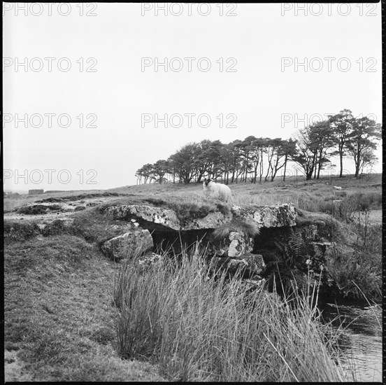 Powder Mills Clapper Bridge, Dartmoor, Devon, 1967