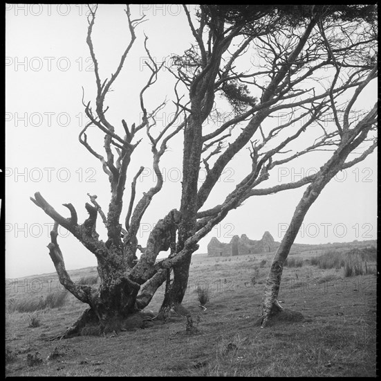 Powder Mills, Dartmoor, Devon, 1967