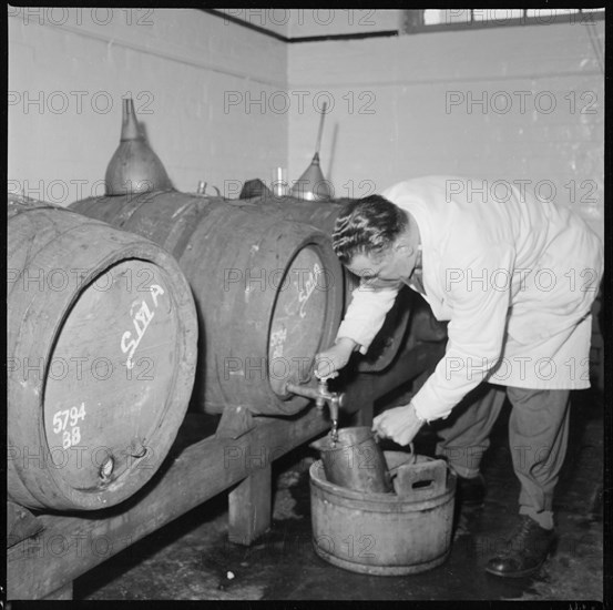 Man drawing a sample of beer from a barrel, Burton upon Trent, Staffordshire, 1965-1968