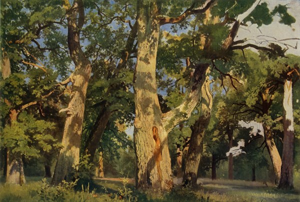 Oak Trees at Eventide', 1887, (1965).