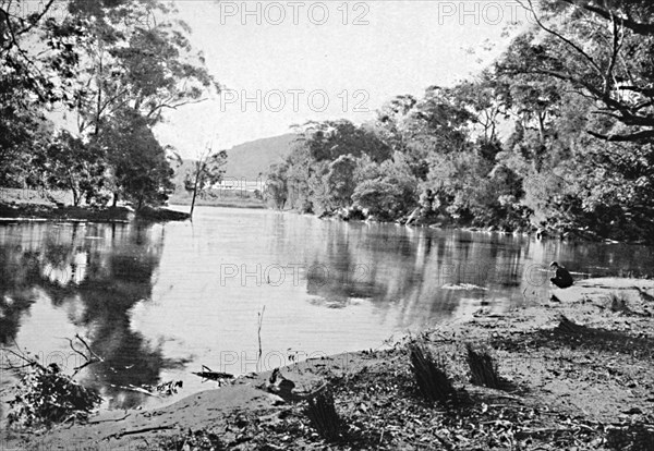 Evening Shadows, National Park, c1900.