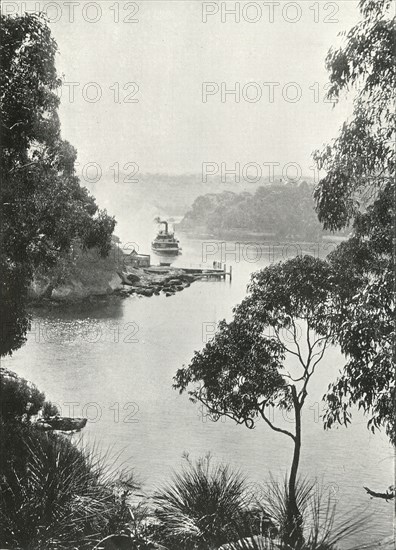 Mosman's Bay, from Cremorne Jetty, c1900.