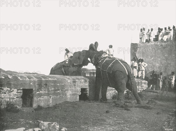 An elephant fight, Hyderabad, India, 1895.