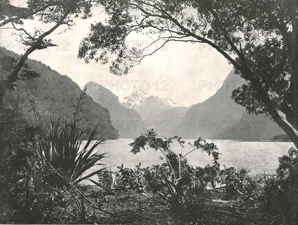 Milford Sound, New Zealand, 1895.