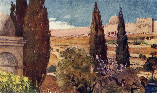 The Cypresses of the Garden of Gethsemane', 1902.