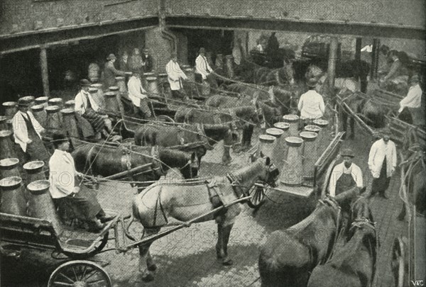 Delivery Vans Starting from Messrs, Freeth and Pocock's Central Depot at Vauxhall', 1902.