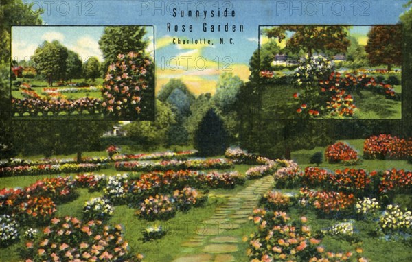 Sunnyside Rose Garden, Charlotte, N.C.', 1942.