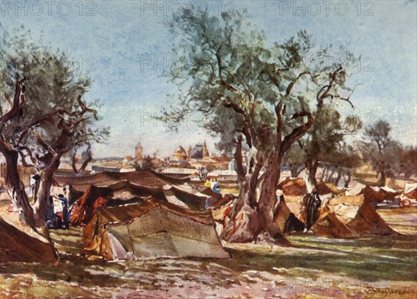 Bedouin Encampment Outside the North Wall of Jerusalem', 1902.