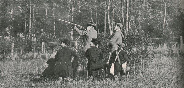 The King shooting over Sandringham preserves', 1900s, (1910).