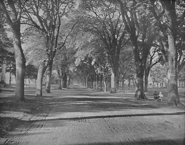 The Elms," New Haven, Conn.', c1897.