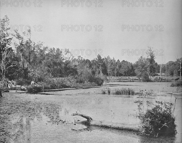 Scene in Mississippi', c1897.