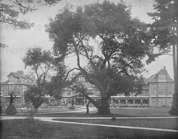 Del Monte, Monterey, California', c1897.