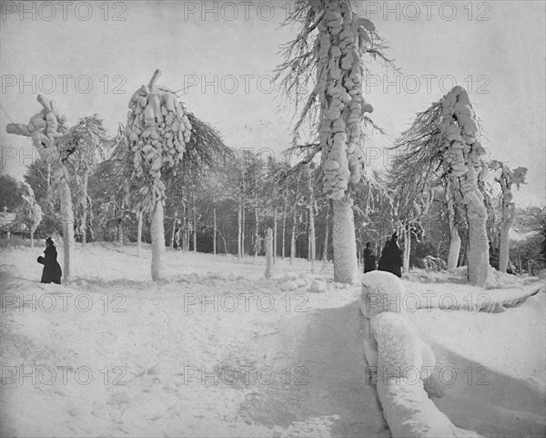 Frost Work in Prospect Park, Niagara', c1897.