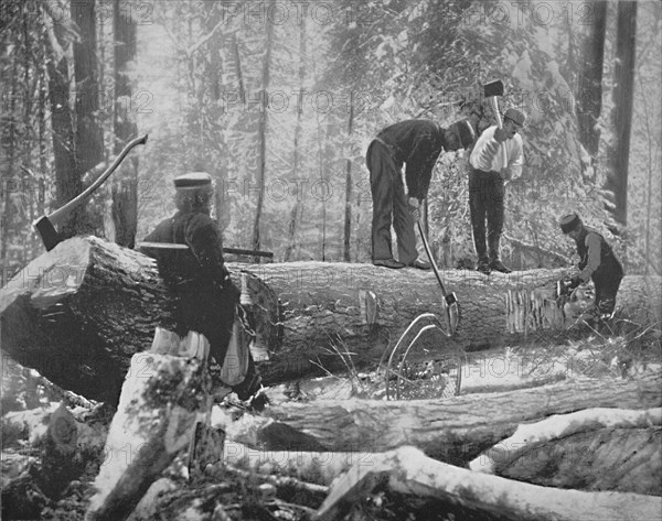 Lumbering on the Ottawa River, Canada', c1897.