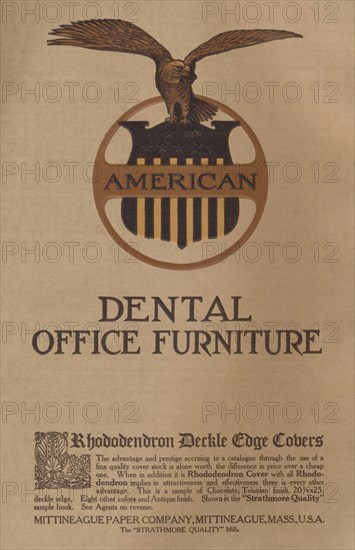 American Dental Office Furniture - Rhododendron Deckle Cage Covers', 1909. s
