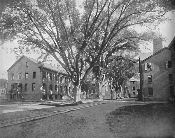 Reading Hall and Treasury, Yale College, New Haven, Conn.', c1897.