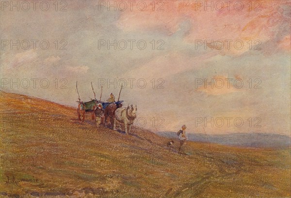 On the Downs Near Harting', c1870-1906, (1906).
