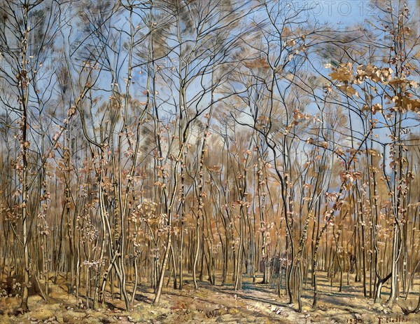 Beech forest, 1885-1894 .