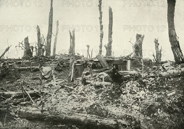 A Dug-Out in What Was Once A Sylvan Wood', (1919).