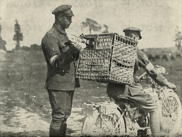 British Army Carrier Pigeons in France', (1919).