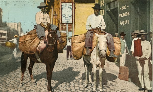 Vegetable Men, Havana, Cuba', 1904.