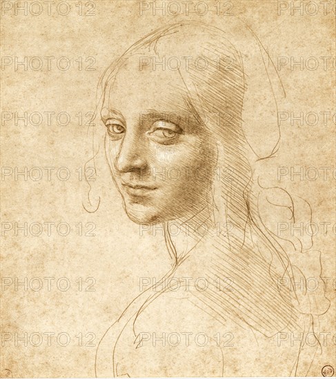 Head and shoulders of a girl, c. 1490.