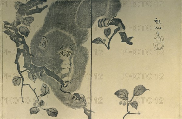 Monkey, 1815, (1924).