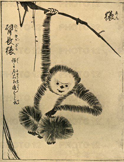 Monkey, 1720, (1924).